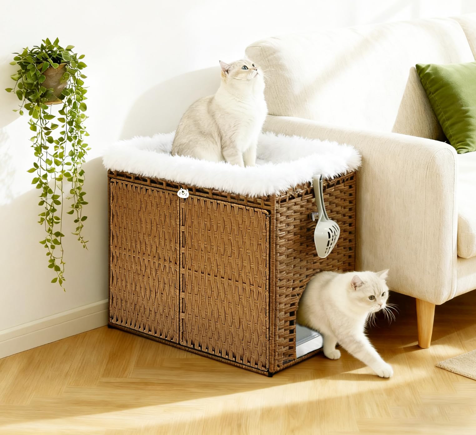 View 6