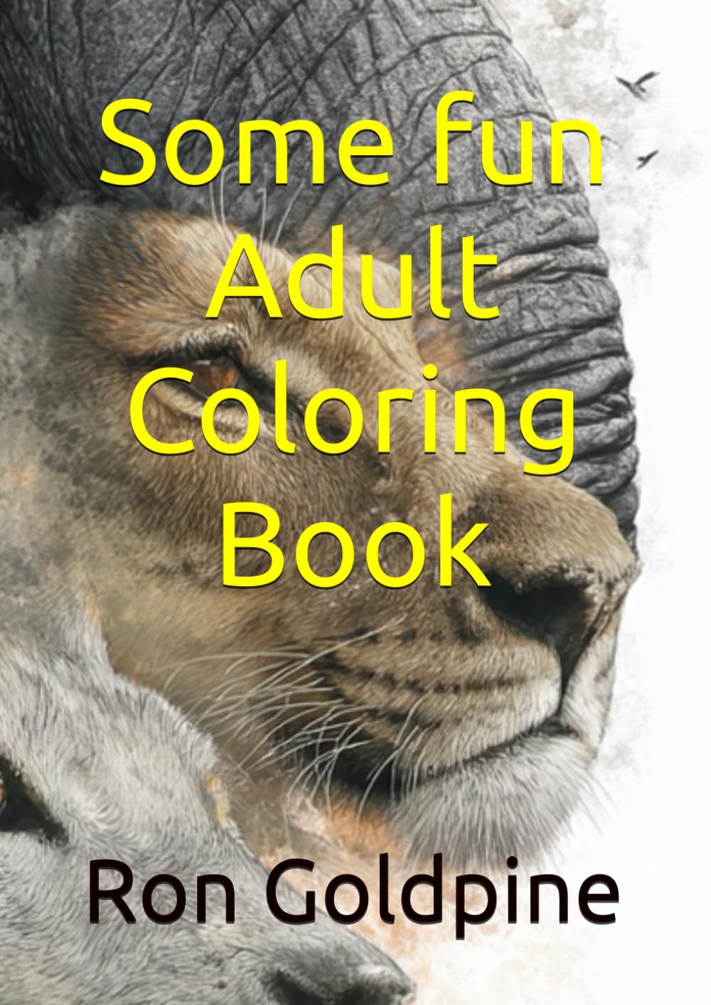 Some fun Adult Coloring Book