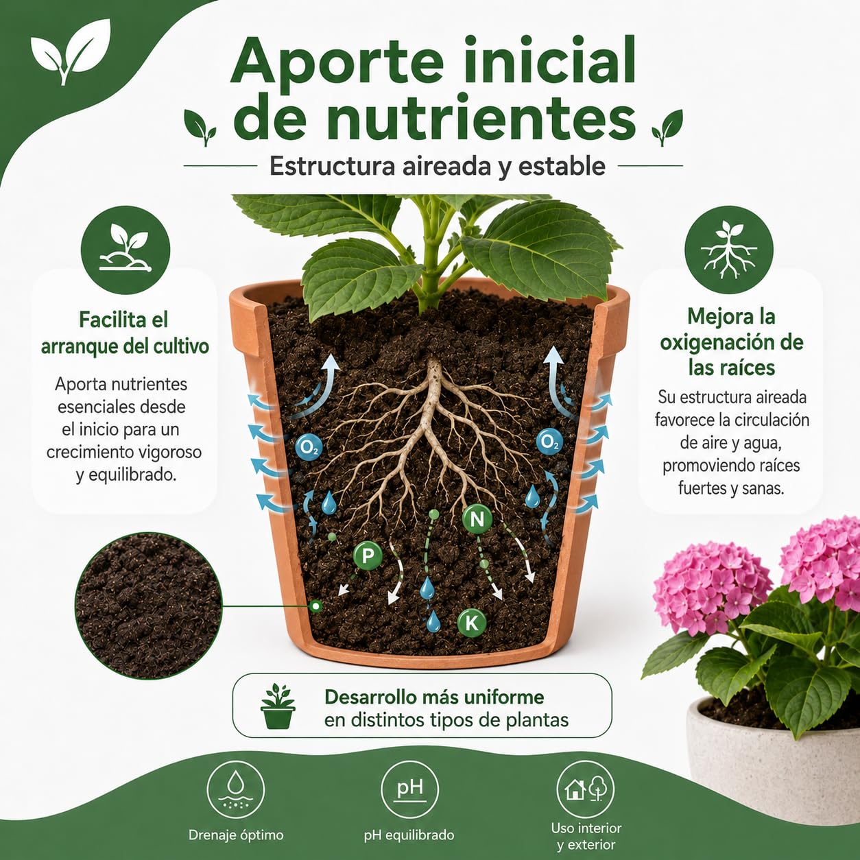 ARDINLIFE FLORAPL50 Sustrato Floraplant, Negro (2 Unidades)