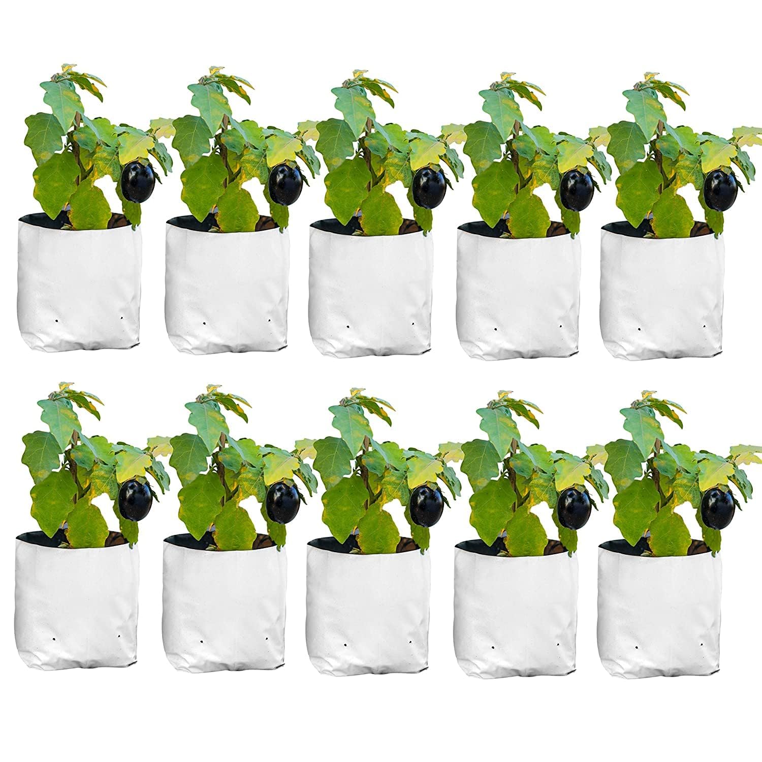 Anandi Greens White Color UV Protected Double Layer Poly Plastic Grow Bag for Home Garden Terrace Gardening Kitchen Gardening (Pack of 10 24x24x40 CM) (B0CXSQK8DR) Amazon Price History, Amazon Price Tracker