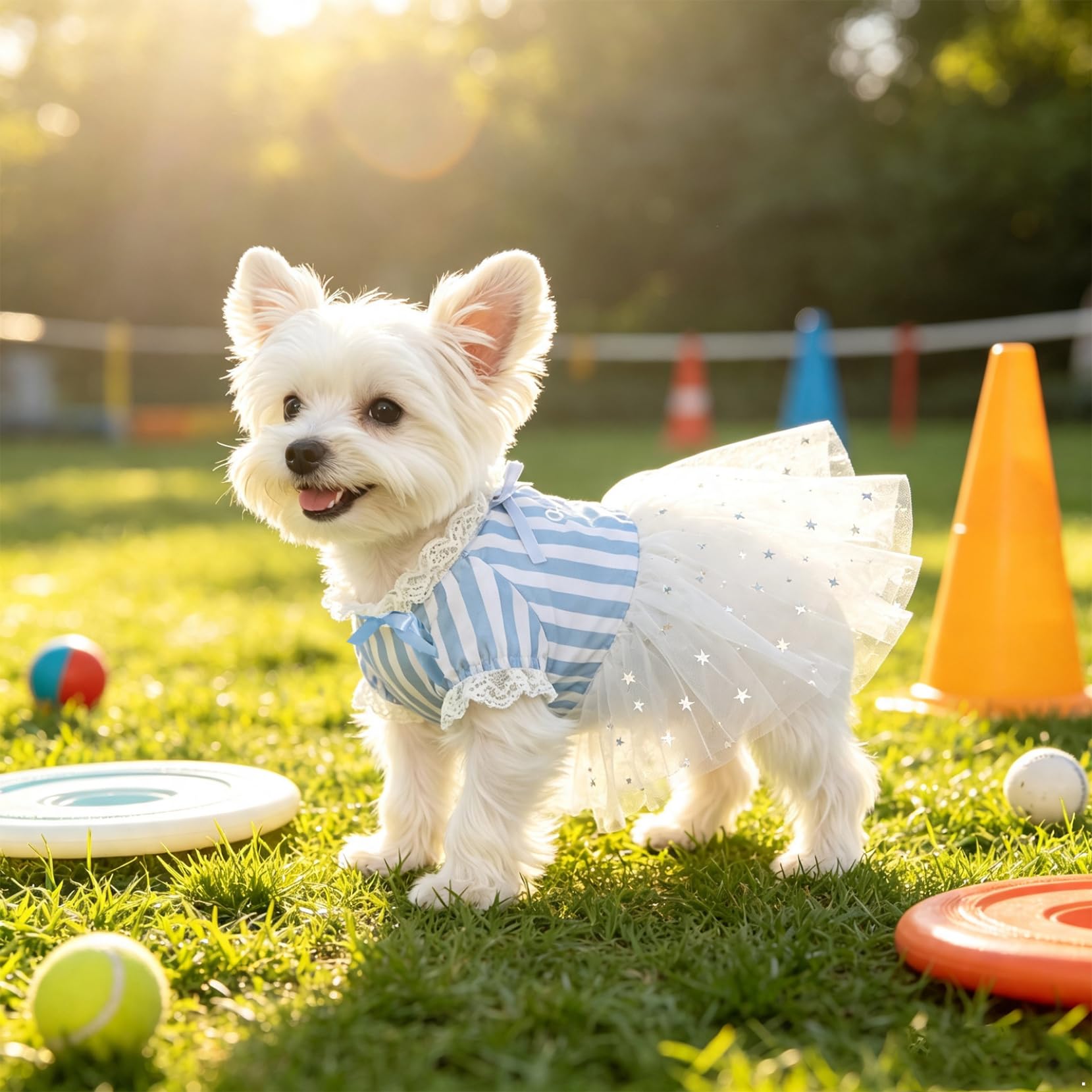 Yartina Vestito per cani di piccola taglia, in tulle, a righe, con stelle, blu, taglia S