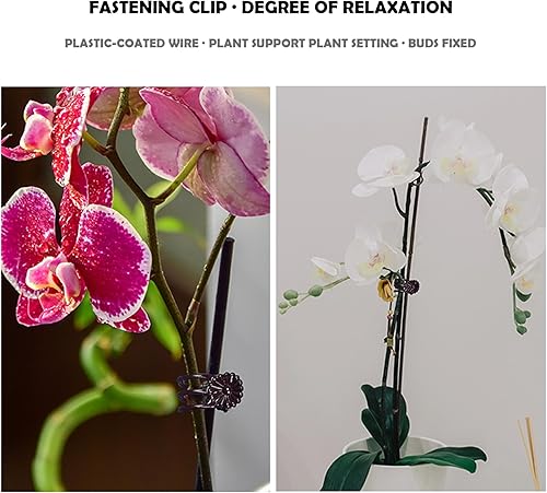 Miniatura 3 de 10 estacas de soporte para plantas con 10 clips de orquídeas para plantas, palos de soporte para orquídeas, estacas de jardín, soportes para plantas