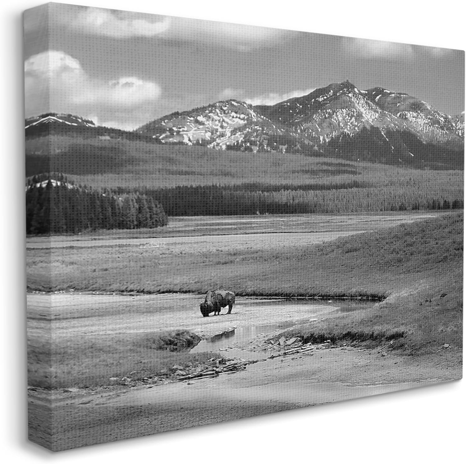Stupell Industries Bison in Mountain Scene Canvas Wall Art by Steve Toole