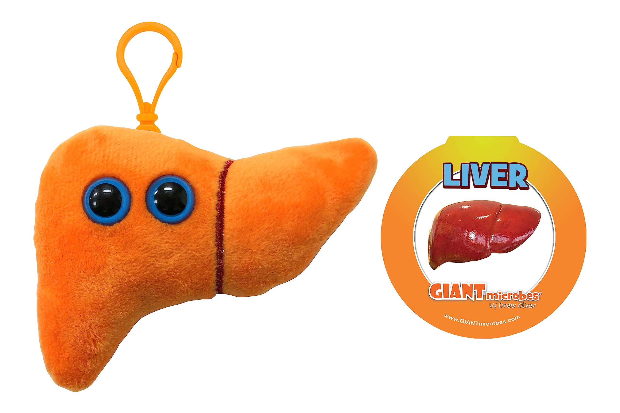 Amazon.com: GIANT MICROBES Liver Plush Keychain – Anatomical Organ