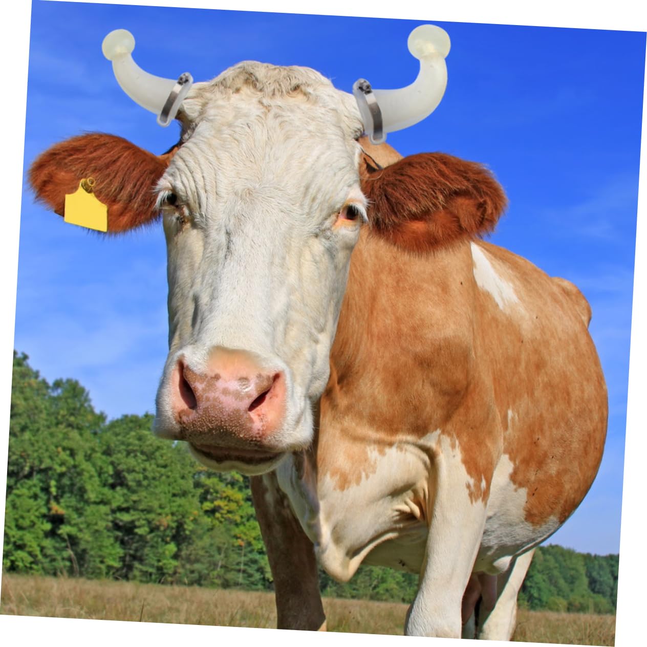 MUSISALY Silicone Cattle Horn Covers Protective Covers for Goats Bulls Cows Random Color