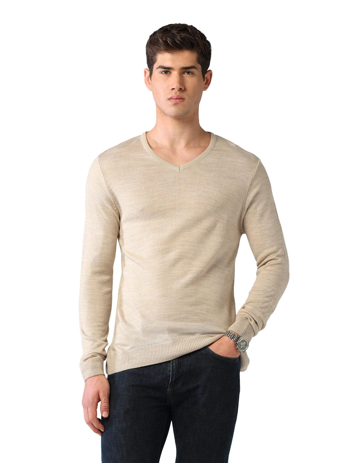 SWFGAON830 Beige Mens Sweater-image-39