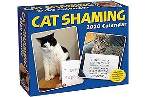 Cat Shaming 2019 Day-to-Day Calendar: The Perfect Cat Calendar for Cat Lovers