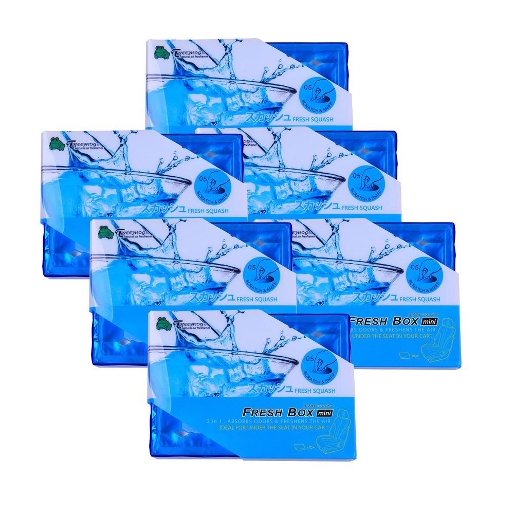 TreeFrog Xtreme Fresh Mini Natural Air Freshener 6-Pack (Fresh Squash Scented)