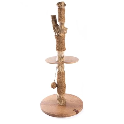 Arbre à Chat Café