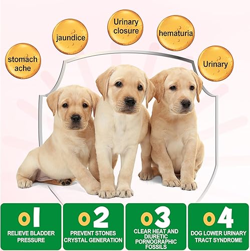 Miniatura 5 de Salud de la vejiga de arándano para perros, 150 arándanos para perros, suplemento de arándano para perros, ayuda a apoyar la salud del tracto