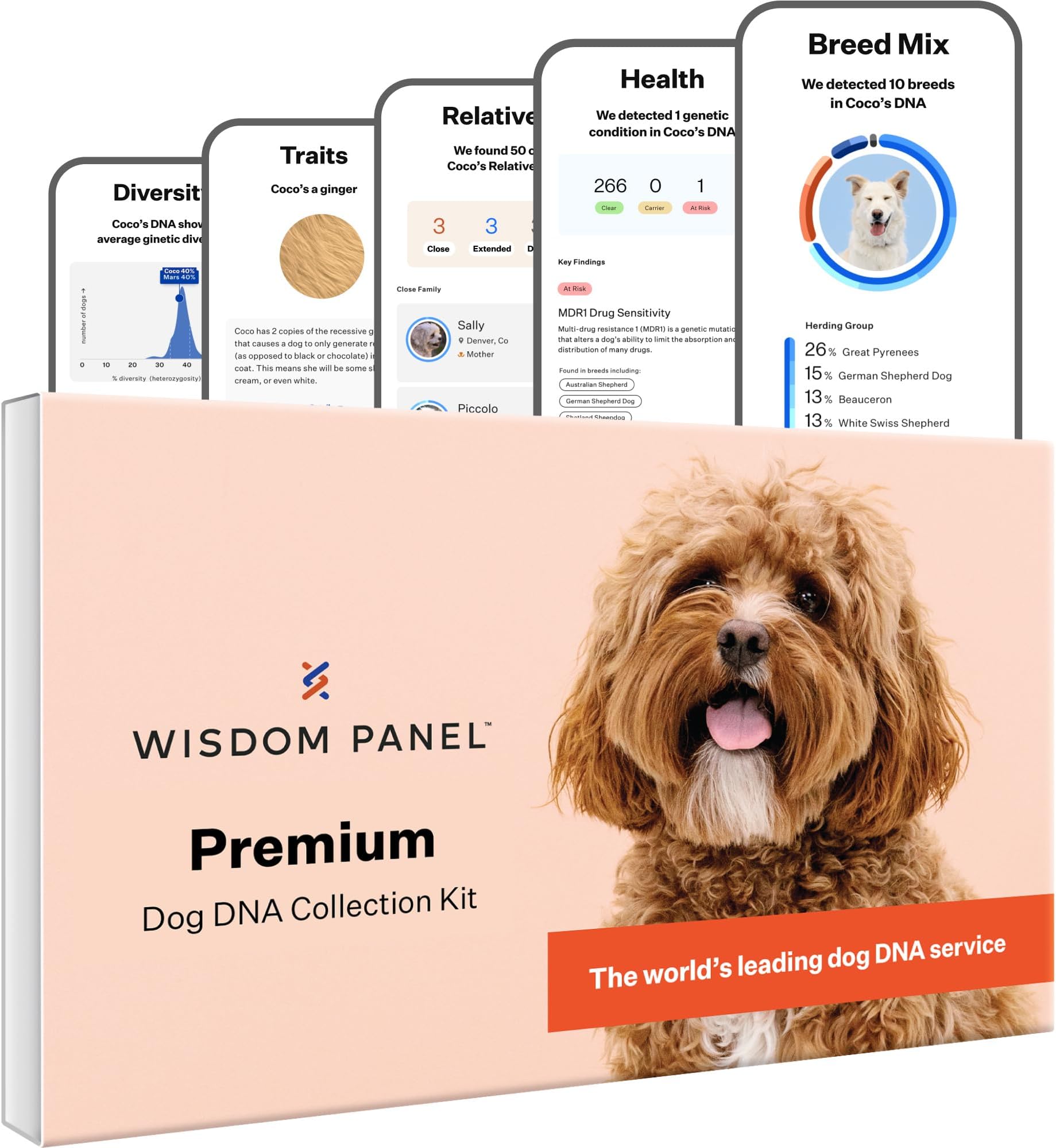 Panel Premium Dog DNA Testing Kit - Most Comprehensive Test - 265+ Health Tests, 430+ Dog Breeds, 50+ Traits, Relatives, Ancestry, 1 Pack