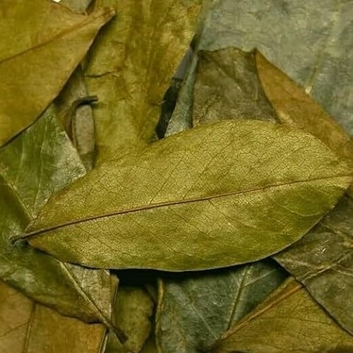 Miniatura 4 de Nicomex - Hoja de Guanabana, hoja de guanábana seca 100% natural. Té de Hierbas.1 oz cada bolsa (0.12 oz), paquete de 3 bolsas.