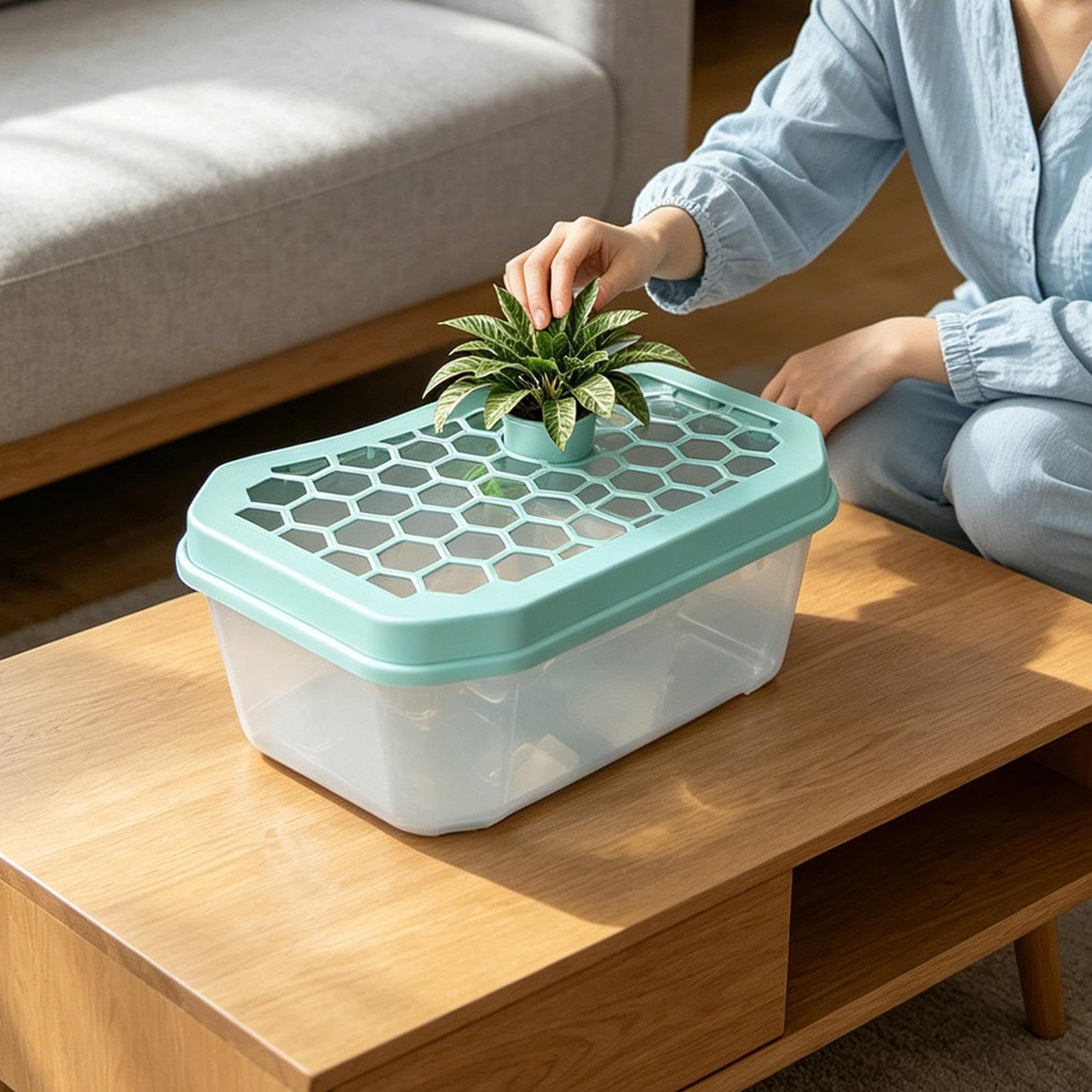 Terrario per tartarughe acquatiche, per tartarughe, gamberi, granchi eremiti, rane, ideale per la casa e la decorazione del soggiorno