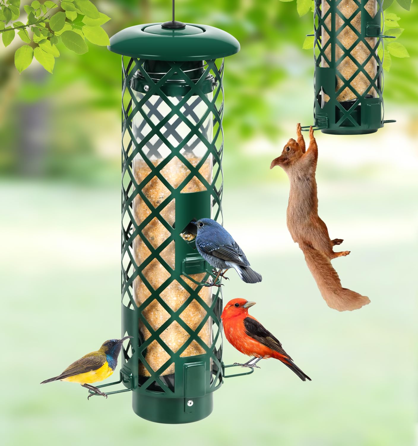 YUGYUM Squirrel Proof Bird Feeder
