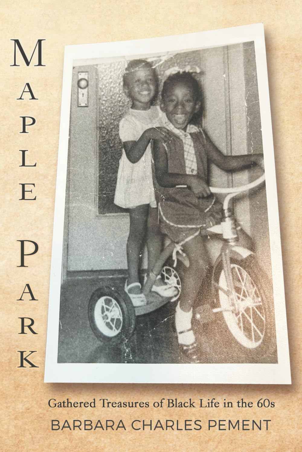 Maple Park: Joys that Jabbed; Pains that Stabbed -- Gathered Treasures of Black Life in the 60s      Paperback – December 15, 2025