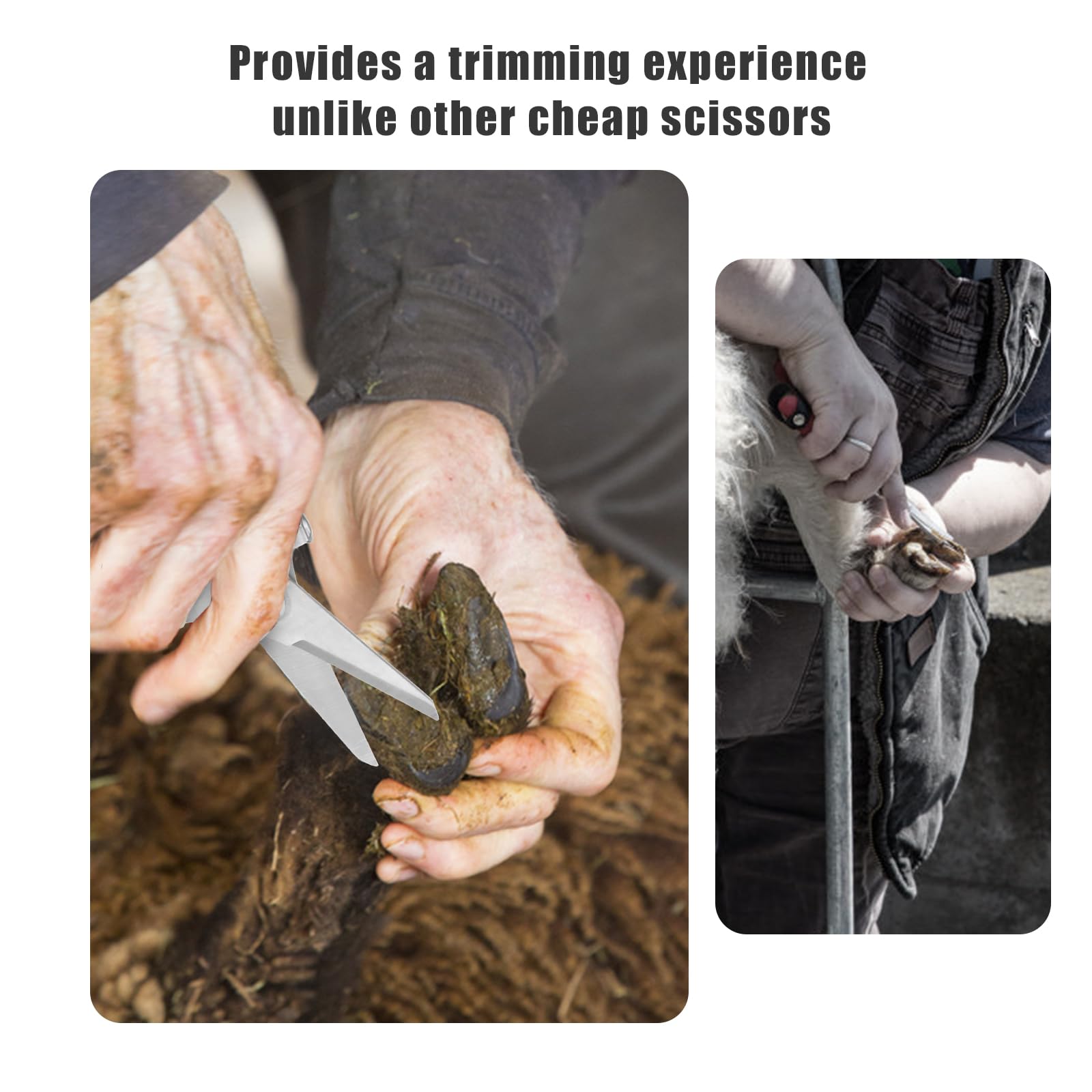 PEUTIER Coupe-Ongles de Chèvre, Outil de Coupe de Sabots en Acier Inoxydable avec Cisailles à Sabots à Ressort Coupe-Ongles de Mouton pour Cochon, Cheval, Bétail