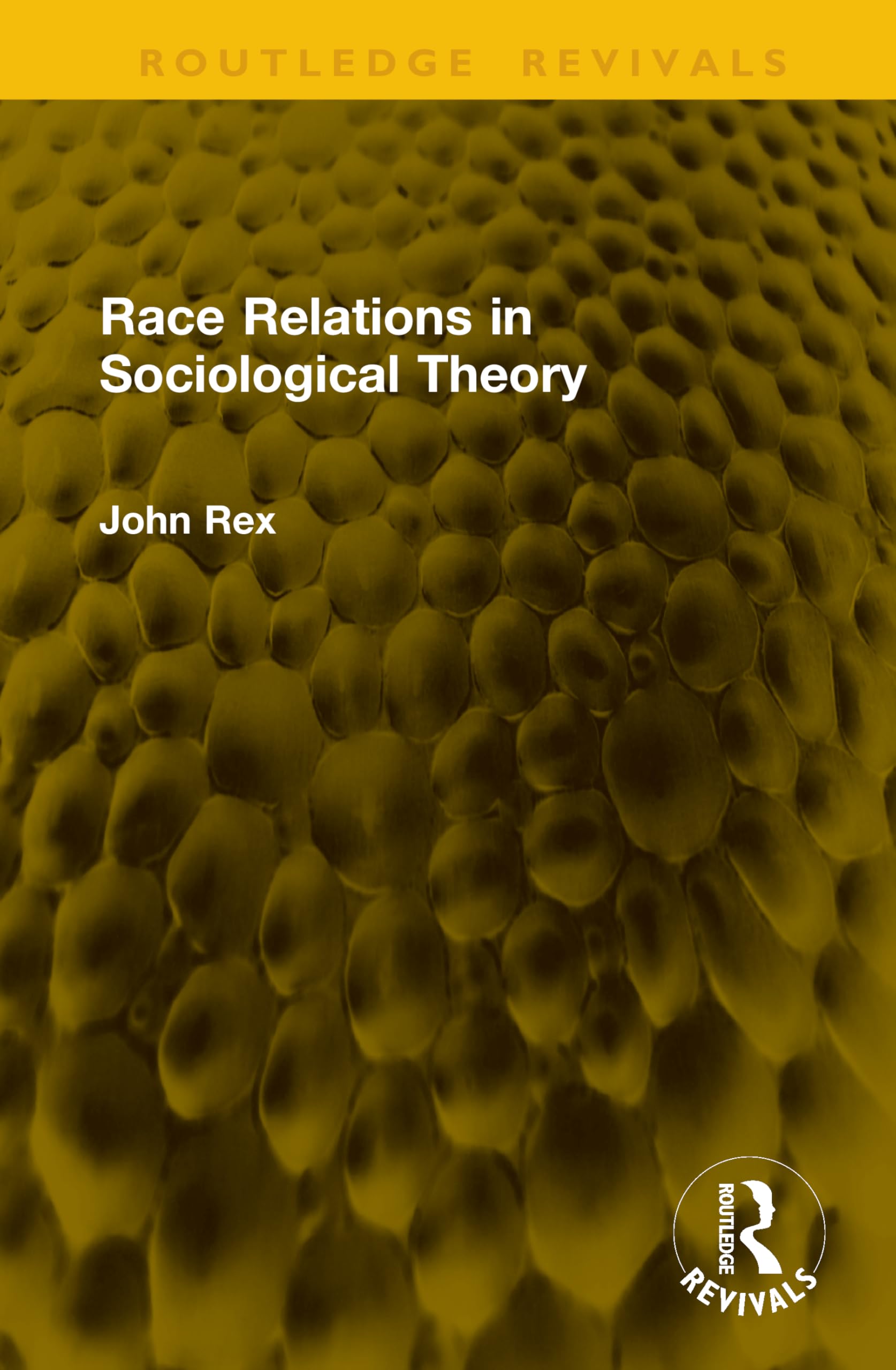 Race Relations in Sociological Theory (Routledge Revivals)
