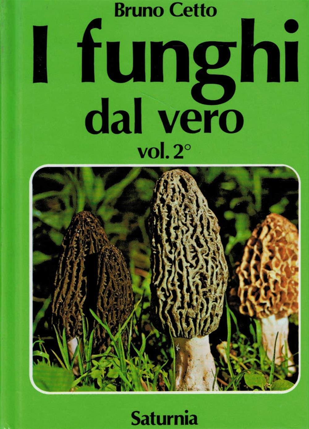 I Funghi Dal Vero (Vol. 2) - 4