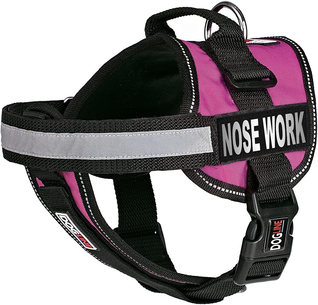 nosework harness