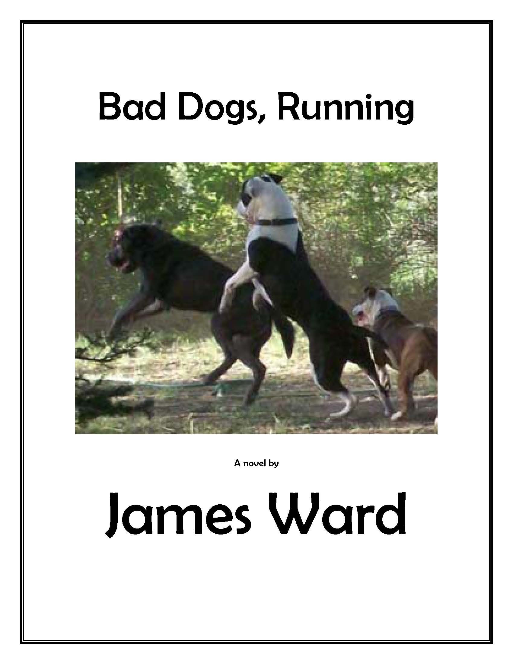 Bad Dogs, Running (Bob Steck, the adventures of a spymaster)
