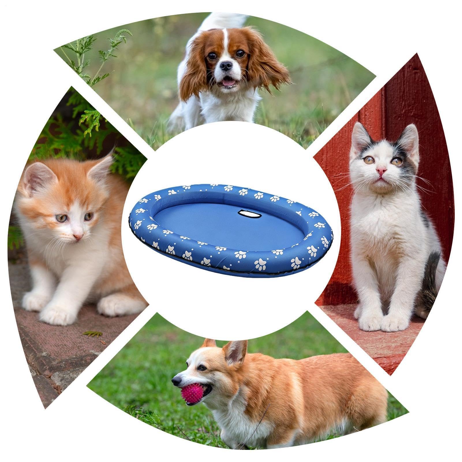 Generisch Hund Pool Float | Mit Ablaufloch Schwimmspielzeug Für Haustiere,Sommerlicher Wasserpool-Float Spaß | für kleine mittlere große Hunde Katzenwelpen Outdoor Garten Terrasse Park See