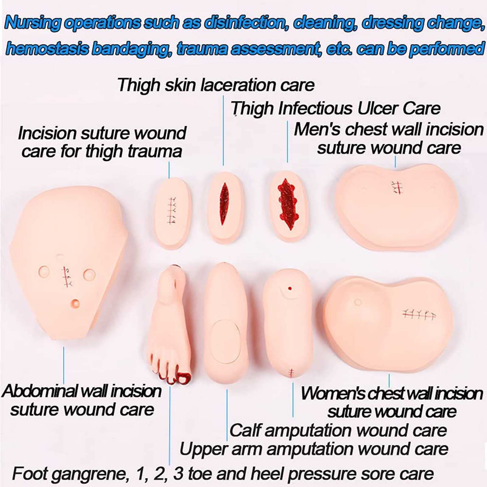 DFEDHF Demonstration Human Manikin 170cm Life Size Patient Care Manikin CPR Simulator for Nursing Medical Training Teaching & Education