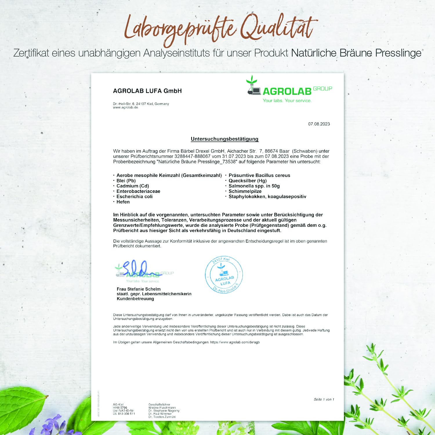 BÄRBEL DREXEL Natürliche Bräune mit Beta-Carotin Hochdosiert + Carotinoid-Vitaminen (80 Stk) Unterstützen die Bräunungsfähigkeit des Körpers, Vegan, Bräunungskapseln ohne unerwünschte Zusätze
