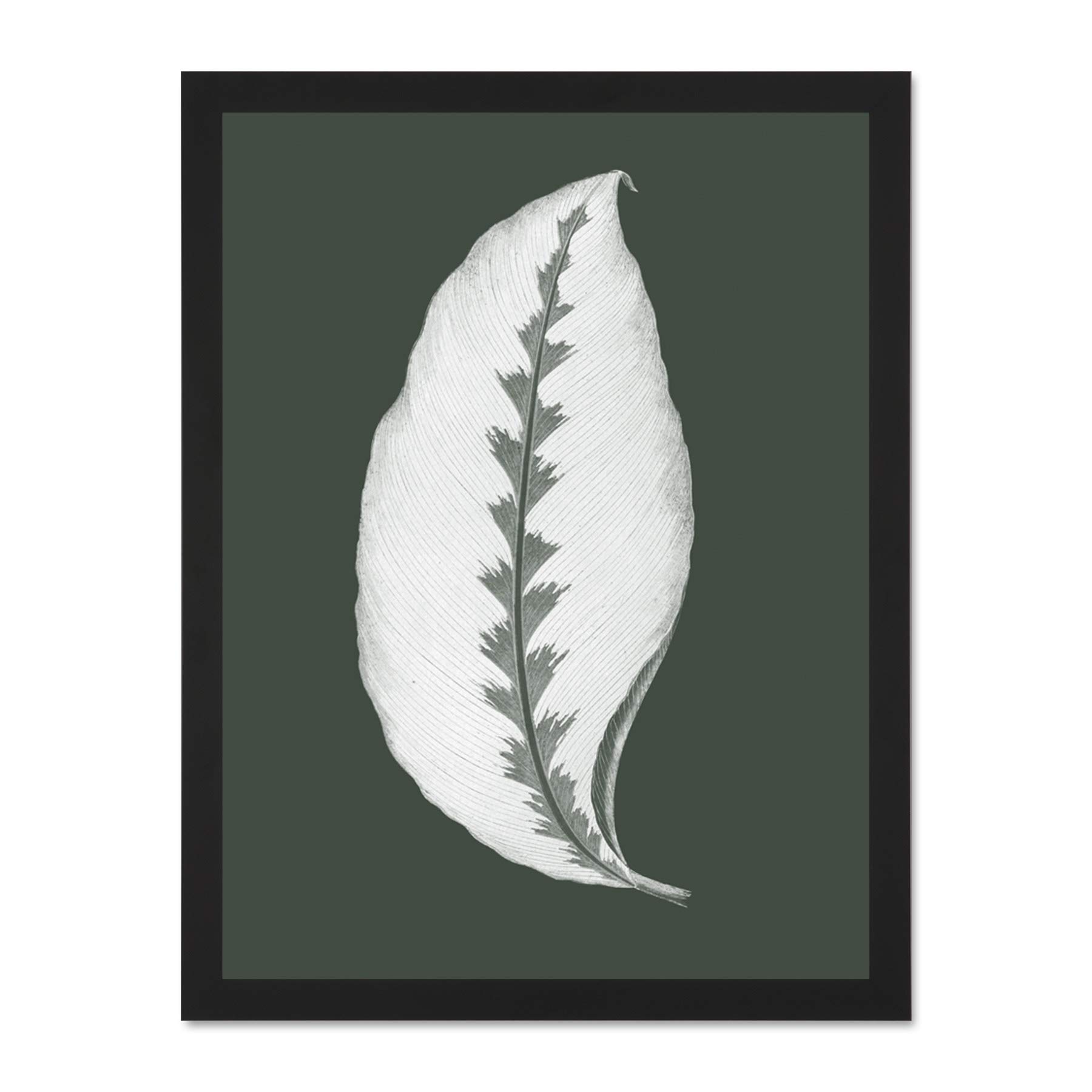 Wee Blue Coo Botanics Hunter Green Jungle Leaf Large Black Framed Art Print Wall Poster 18x24 inch