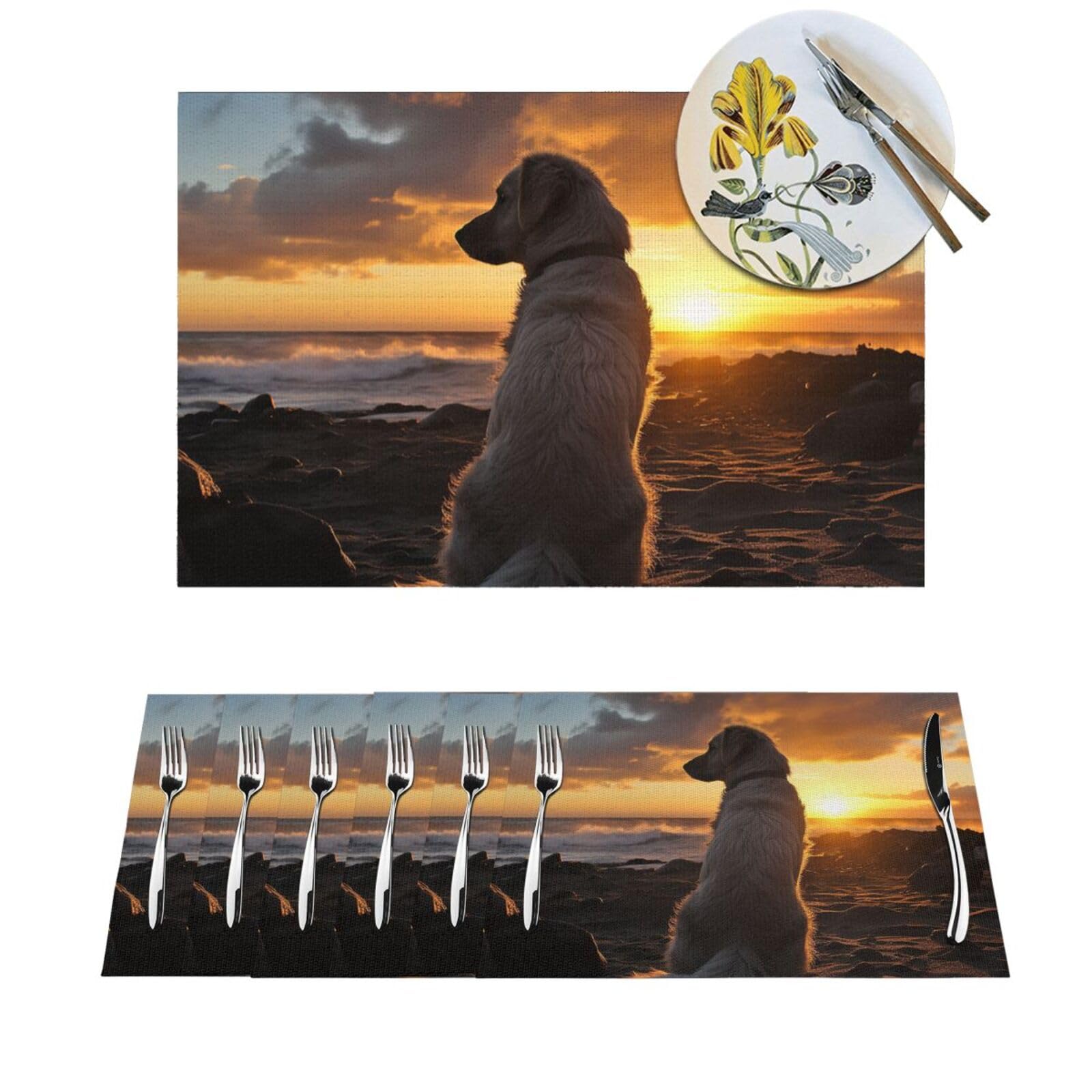 Lot de 6 sets de table en PVC lavable 30x45 cm antidérapants pour salle à manger