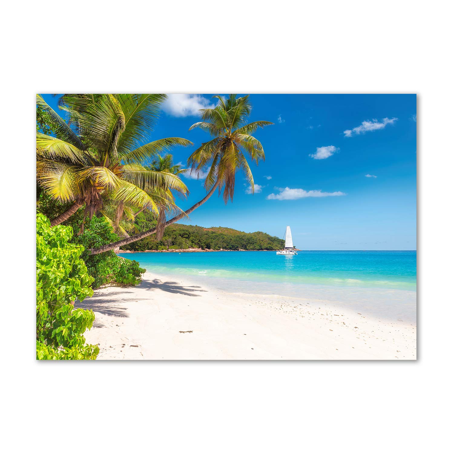 Image sur verre plage tropicale pour sublimer la déco de votre salon