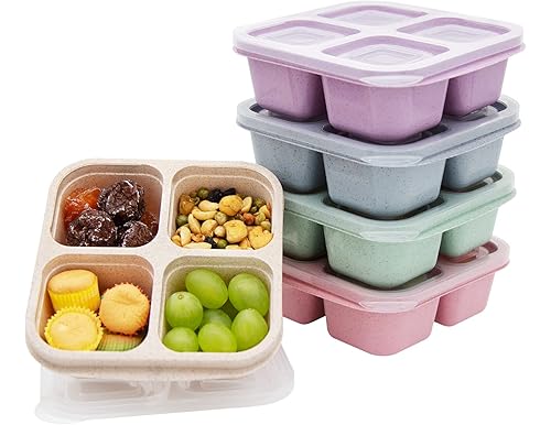 Safe and Durable Glass Storage Containers for Baby Food