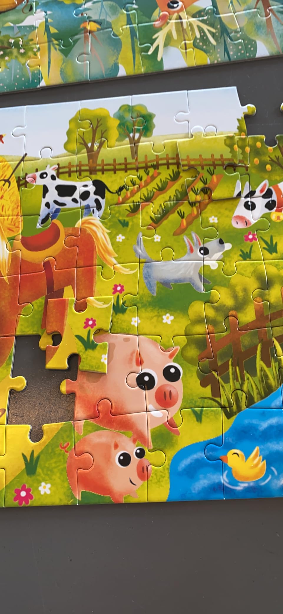 Jigsaw Puzzles for Kids 60 Pcs Farm, Polar, Ocean Safari Animals