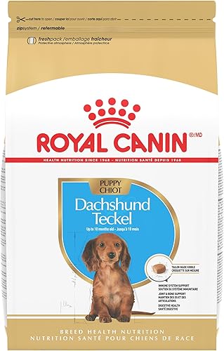 Royal Canin Breed Health Nutrition - Alimento seco para perros con perro salchicha, bolsa de 2.5 libras