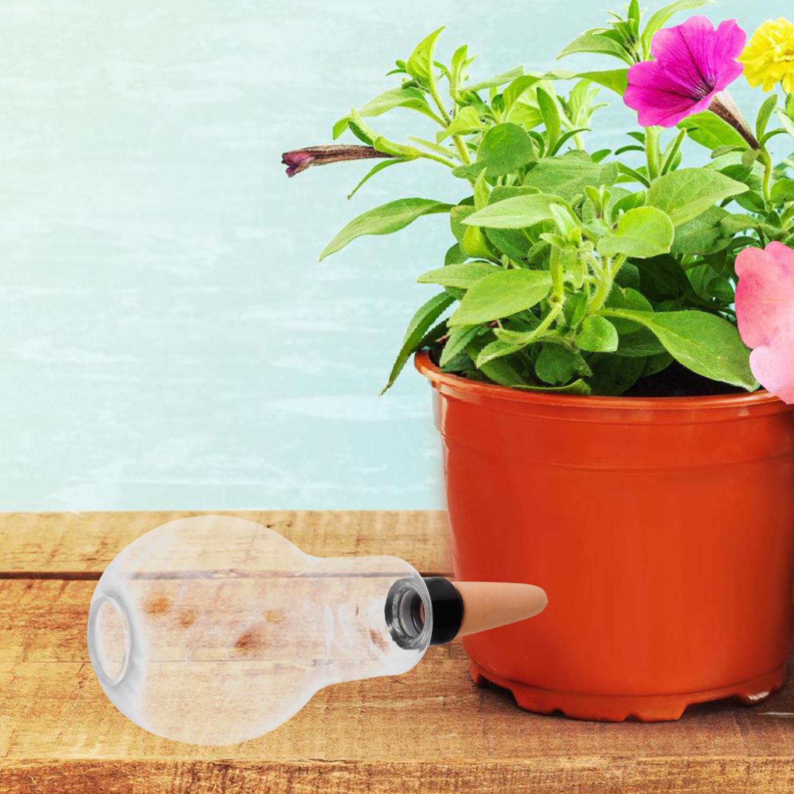Abaodam 8pezzi Irrigatori Automatici per Piante Interne Ed Esterne Sfere per Irrigazione per Piante Casa e Auto-irrigazione e Pratico