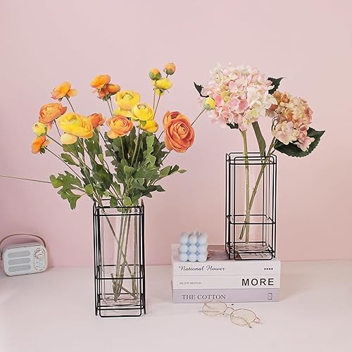 Miniatura 2 de Juego de 2 jarrones de cristal para sala de estar, dormitorio, 9.25 pulgadas, jarrones hidropónicos transparentes con marco de metal negro, paquete