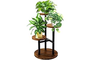 GEEBOBO 3 Tier Plant Stand: Amplify the Beauty of Your Indoor Plants