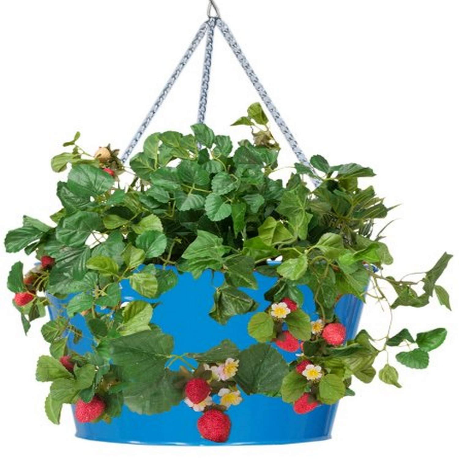 HiT 8495E B Galvanized Heavy Gauge Steel Hanging Floral Herb Planter, 13.5 by 8-Inch, Blue