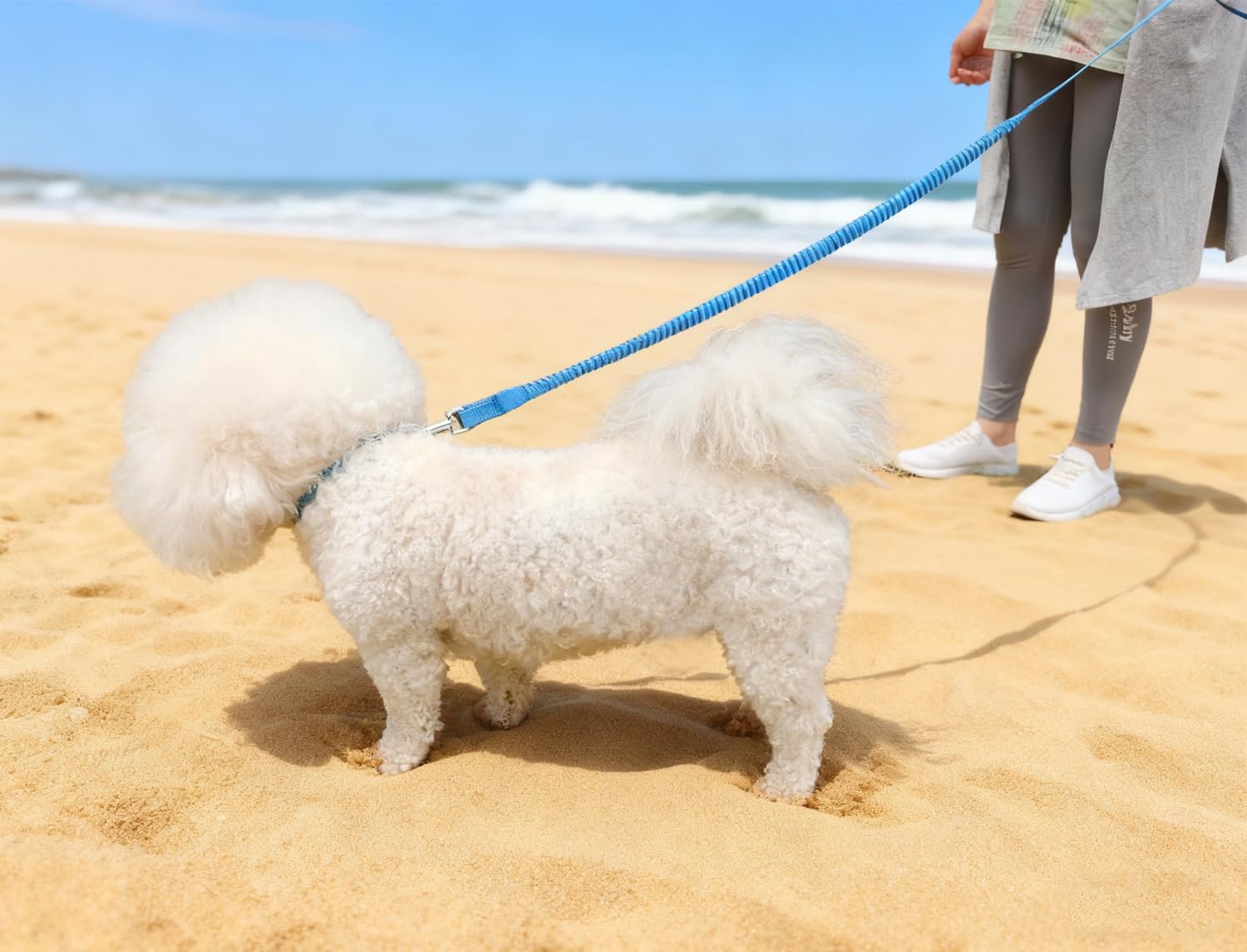 Correa elástica reflectante para perro, antitirón para absorción de golpes, correa elástica de nailon para caminar para perros pequeños y gatos medianos