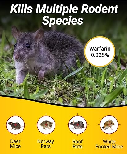 Miniatura 4 de Kaput Mouse Blocks - 4lb. Cubeta 71305