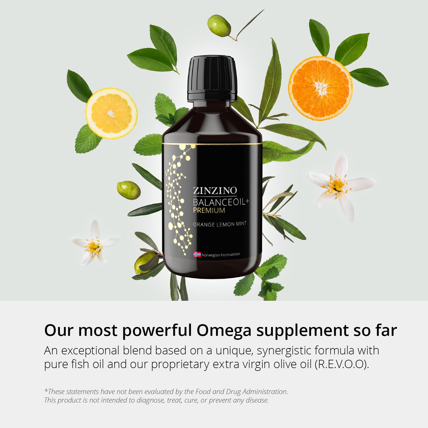 Amazon.com: Zinzino - BalanceOil+ Premium - Omega-3 Fish
