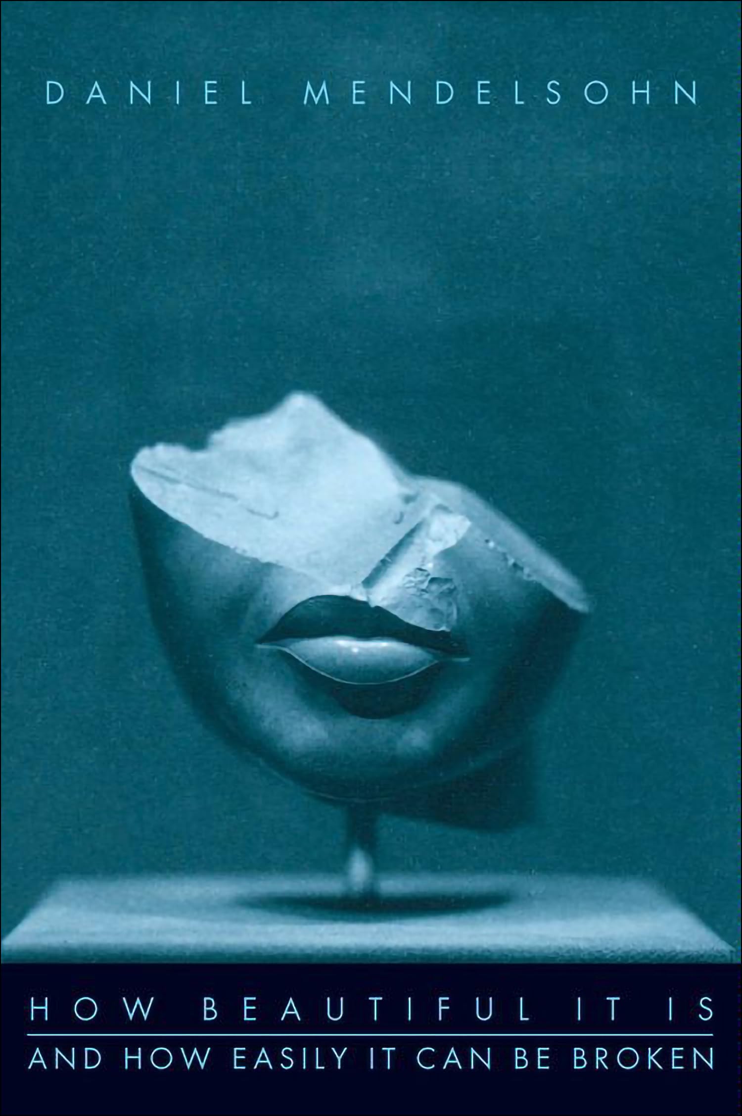 How Beautiful It Is And How Easily It Can Be Broken: Essays