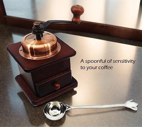 Miniatura 2 de Popos Store Cuchara de café de 8 pulgadas, cuchara de acero inoxidable 1 mesa (0.5 fl oz) con bonito mango de gotero