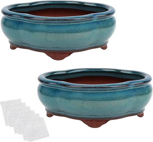 Juego de 2 macetas esmaltadas pequeñas para suculentas de 5.7 pulgadas + 6 pantallas de drenaje de malla suave
