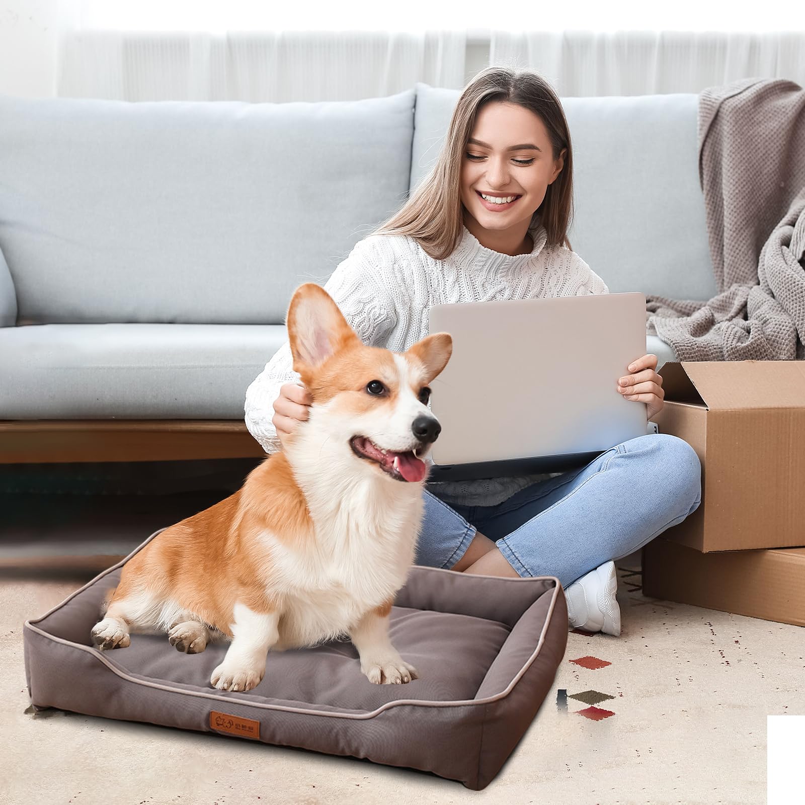 PETCUTE Cuccia per Cani in Tessuto Oxford, Morbido Letto per Animali Domestici Rettangolare,Cuccia Cane Interno con Base Antiscivolo,Cuscino Cane Impermeabile e Lavabile,Letto Divano per Cani