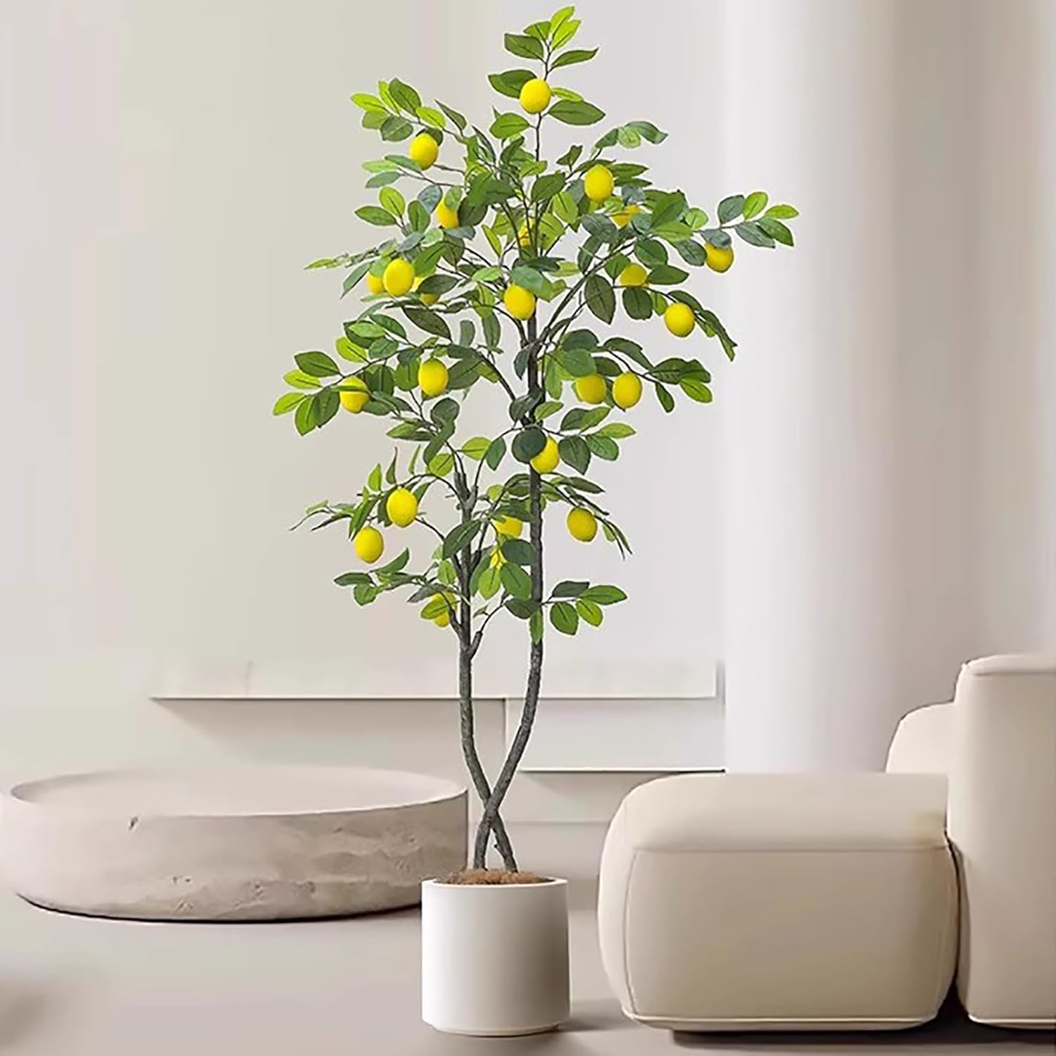 観葉ココヤシ7寸 観葉植物ヤシの実 ヤシ科 ITANSE ココヤシ 6号