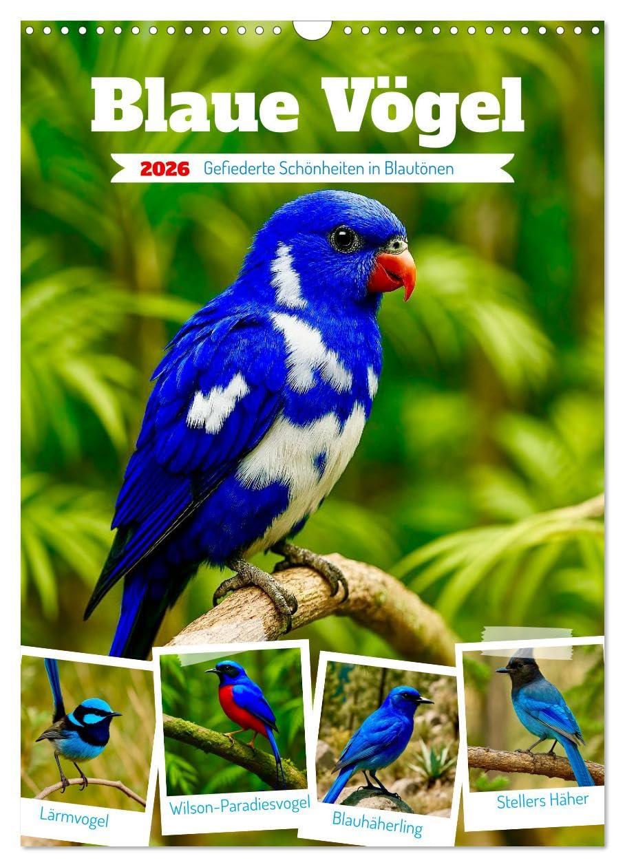 Blue birds UK-Version (Wall Calendar 2026 DIN A3 Portrait), CALVENDO 12 Month Wall Calendar — image 1