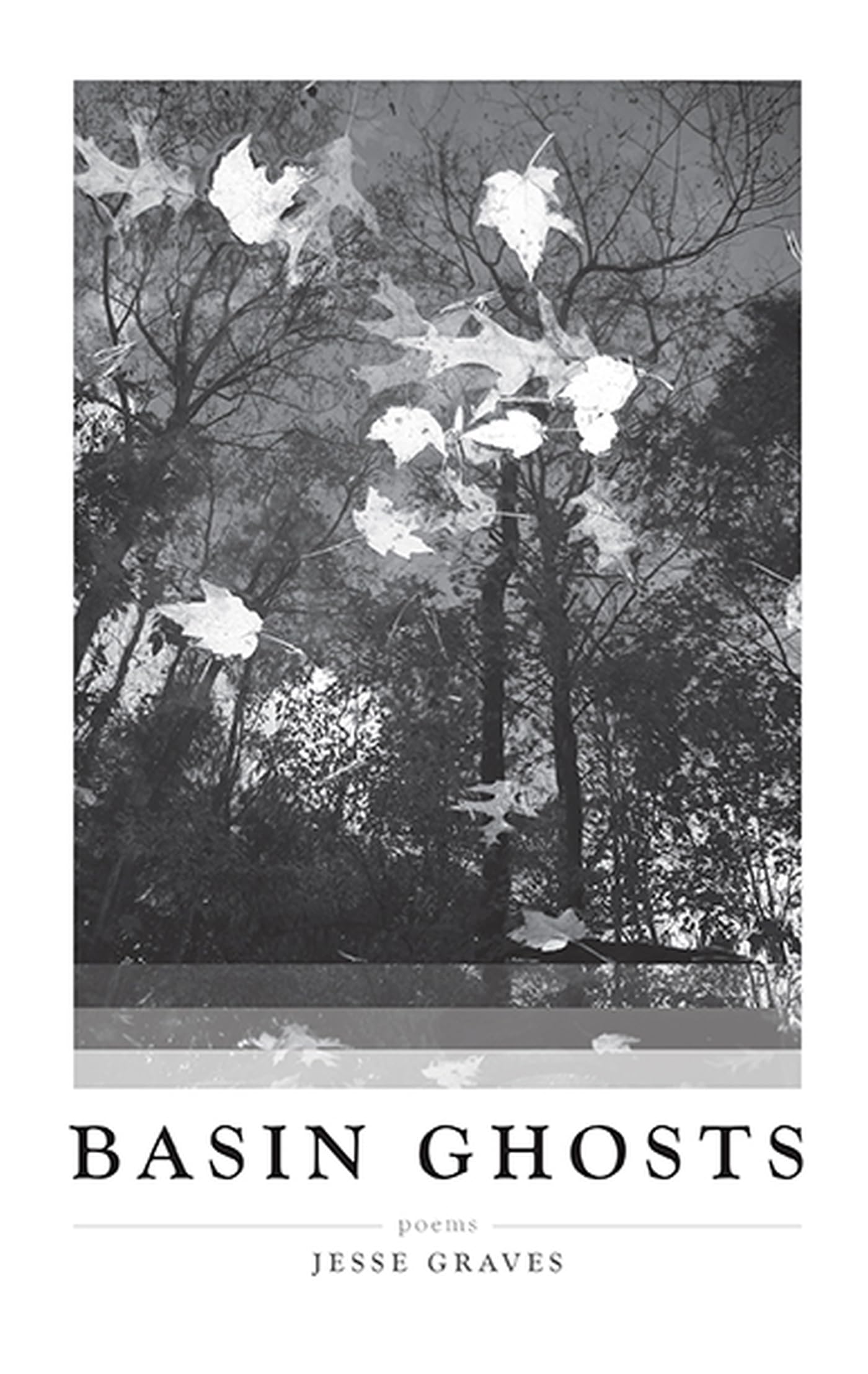 Basin Ghosts: Poems