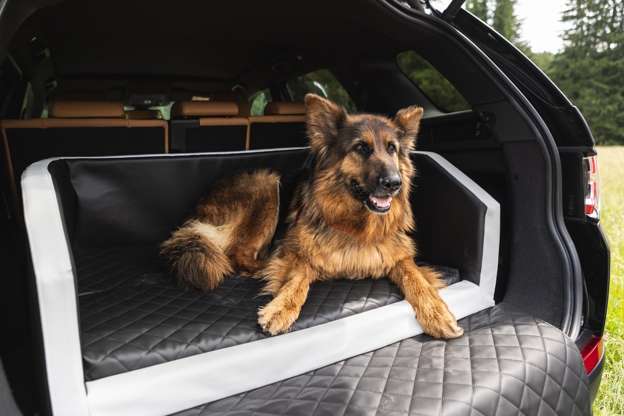 Velinda Trasportino Pieghevole per Cani Bagagliaio Auto Materasso Cintura 90x55 cm (Colore: Nero)