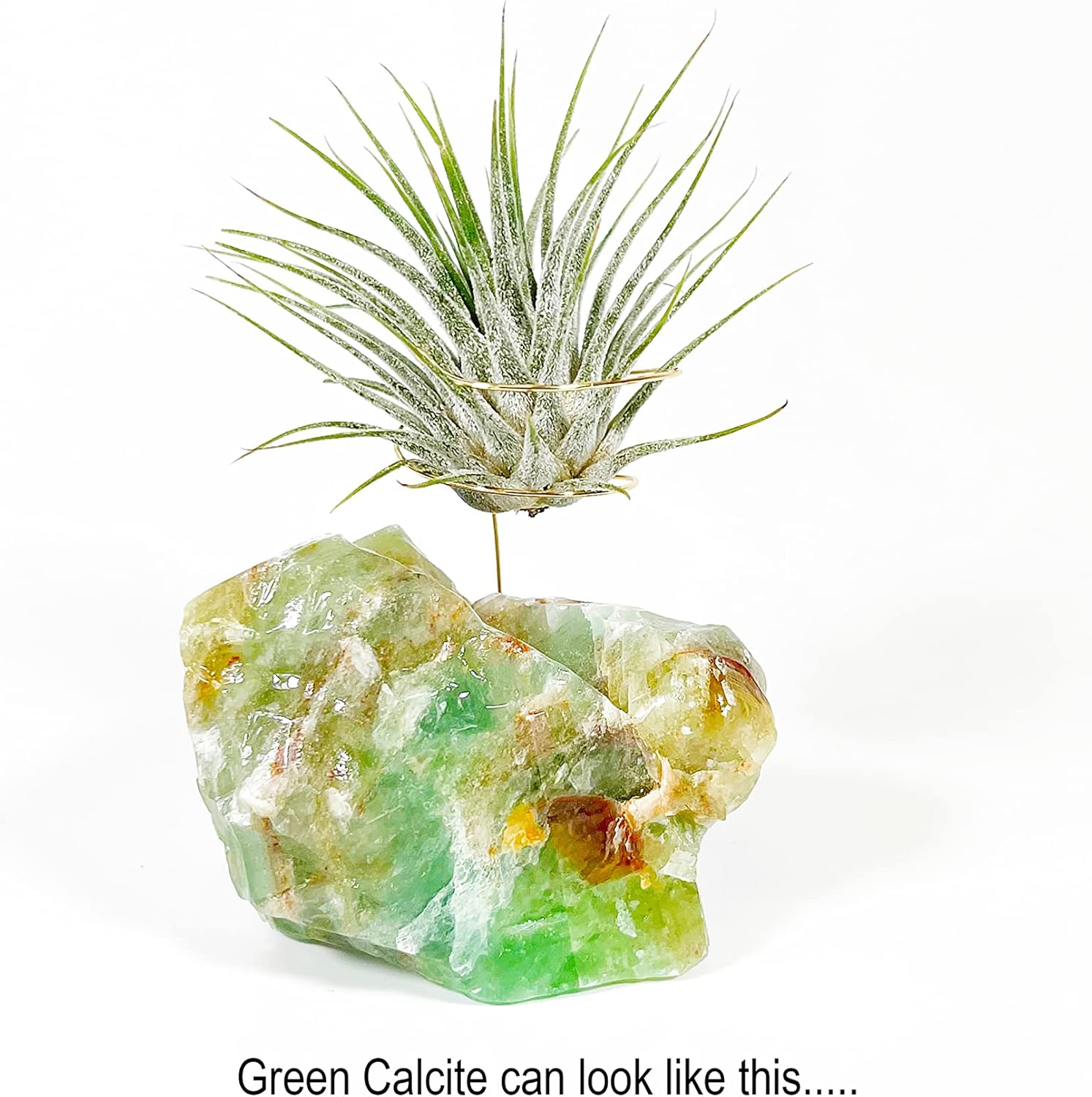 Green Calcite Crystal Air Plant Holder Gift Includes Healthy Live Air Plant and Holiday Box