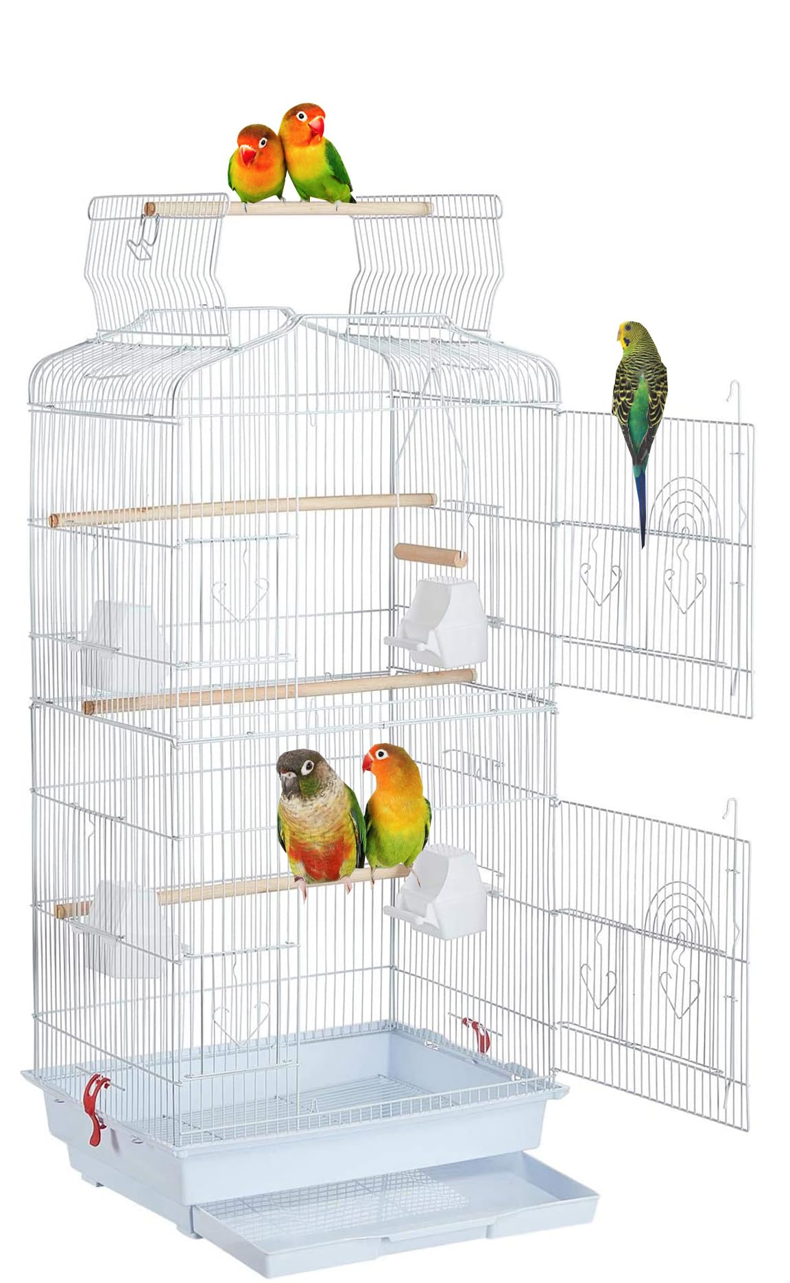 Amazon.com : Open Top Canary Parakeet Cockatiel Lovebird
